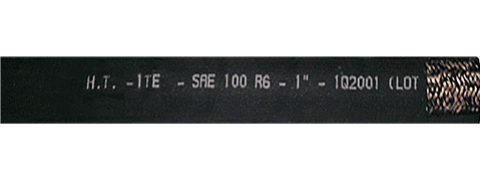 SAE/100 R6 1TE